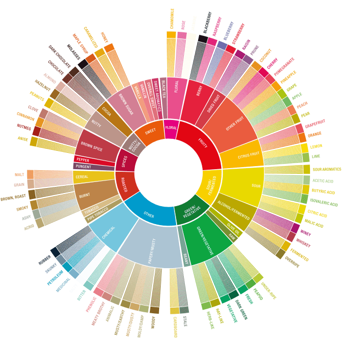 SCA Coffee Flavor Wheel