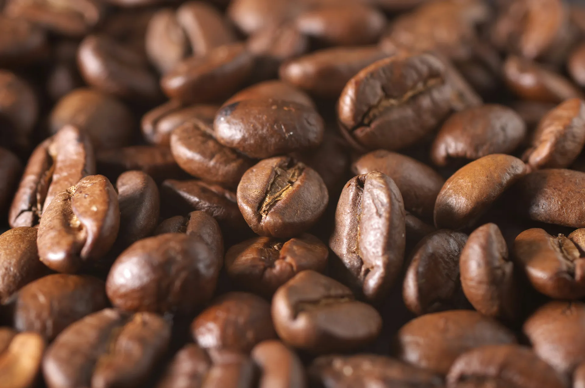 Ethiopia Sidamo